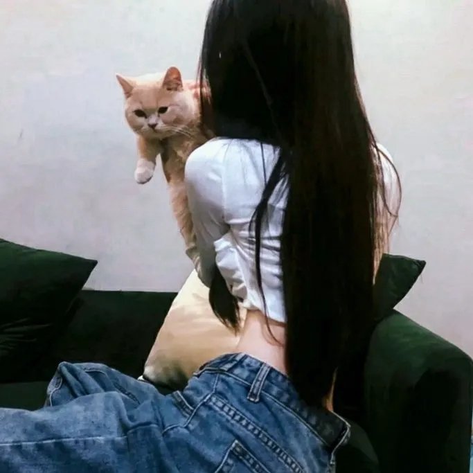 战鸭突击队